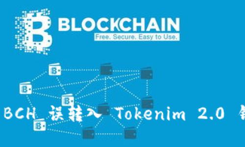 如何解决 BCH 误转入 Tokenim 2.0 钱包的问题